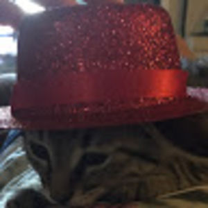 Meet your Posher, Alexis